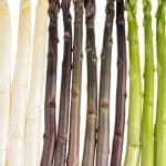 Asparagus Varieties - White, purple, and green