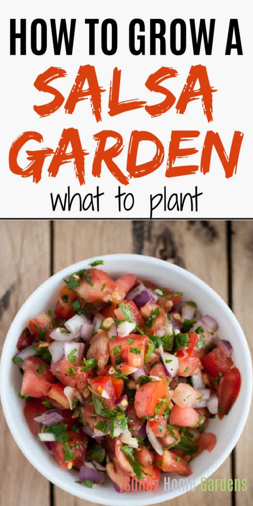Top says "how to grow a salsa garden - what to plant" and bottom is a picture of salsa.