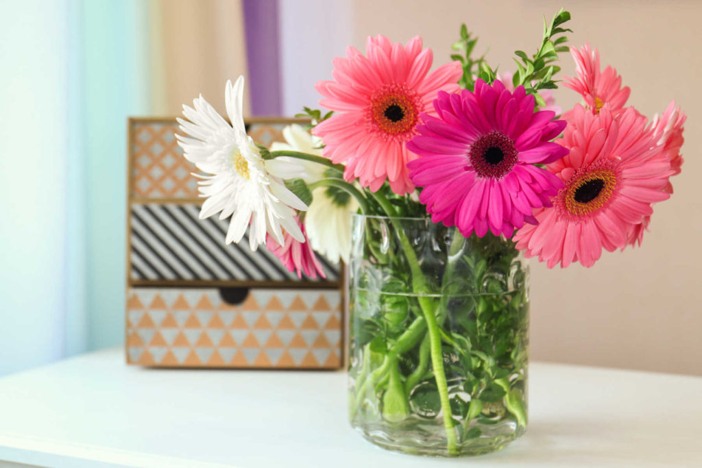 Clear vase with gerbera daisies.