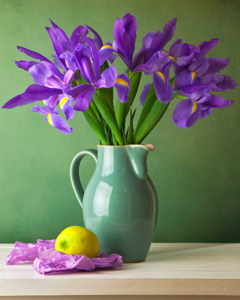 Green ceramic pitcher holding bouquet of Iris flowers.