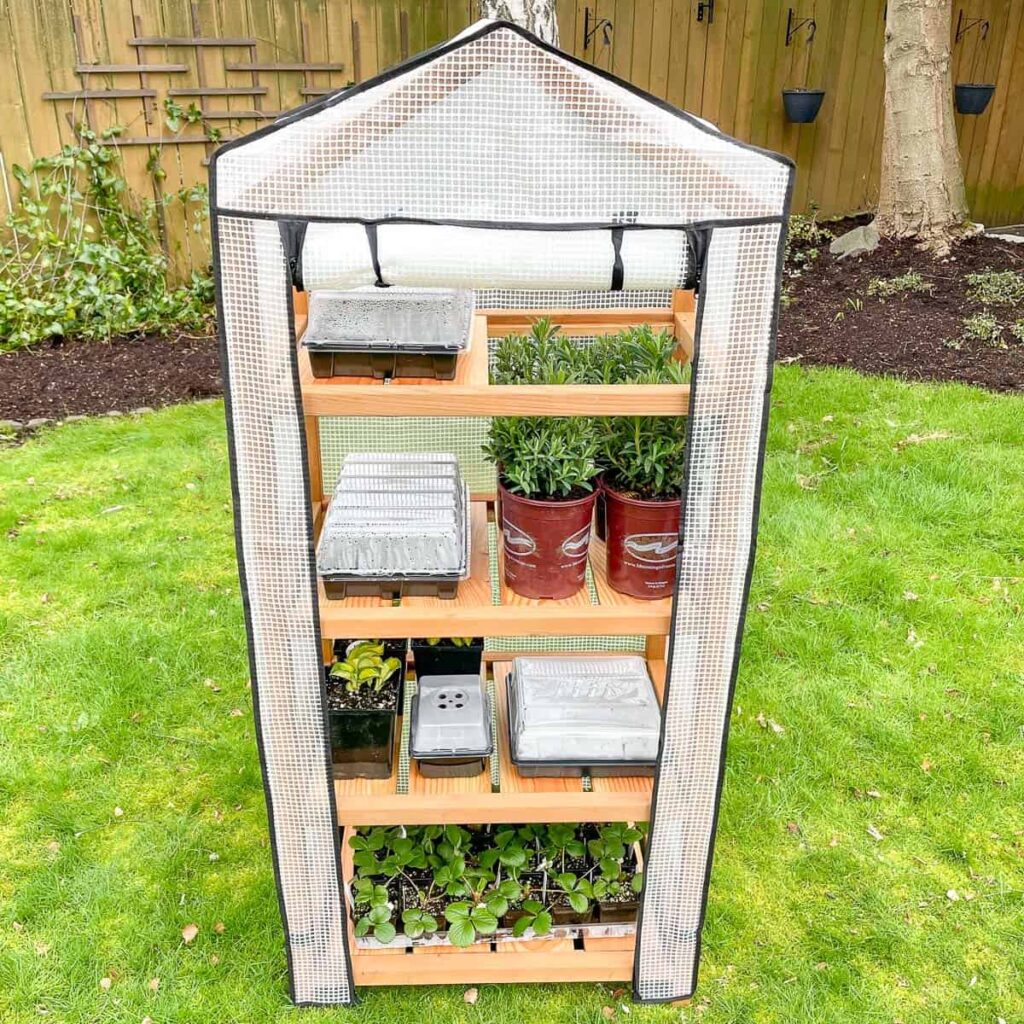 Small greenhouse.
