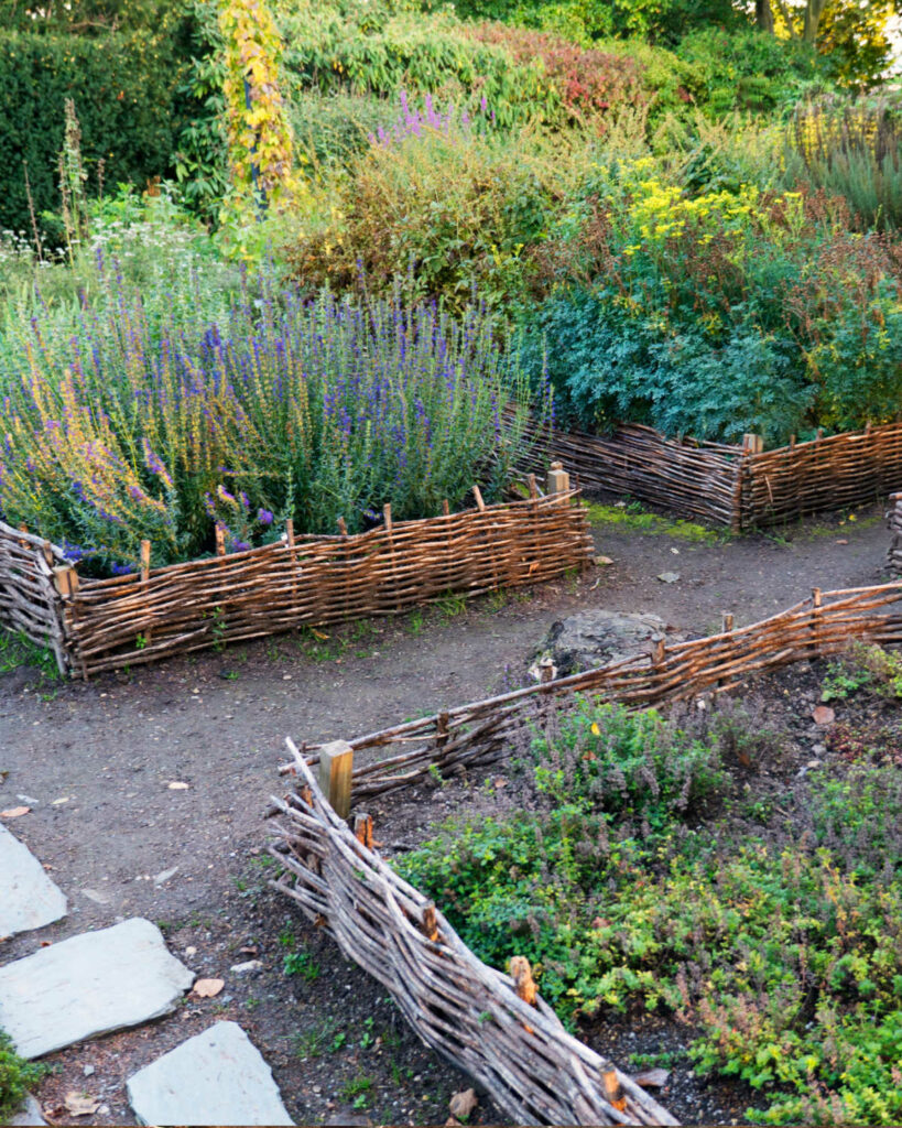 Raised garden beds with various herbs in them.