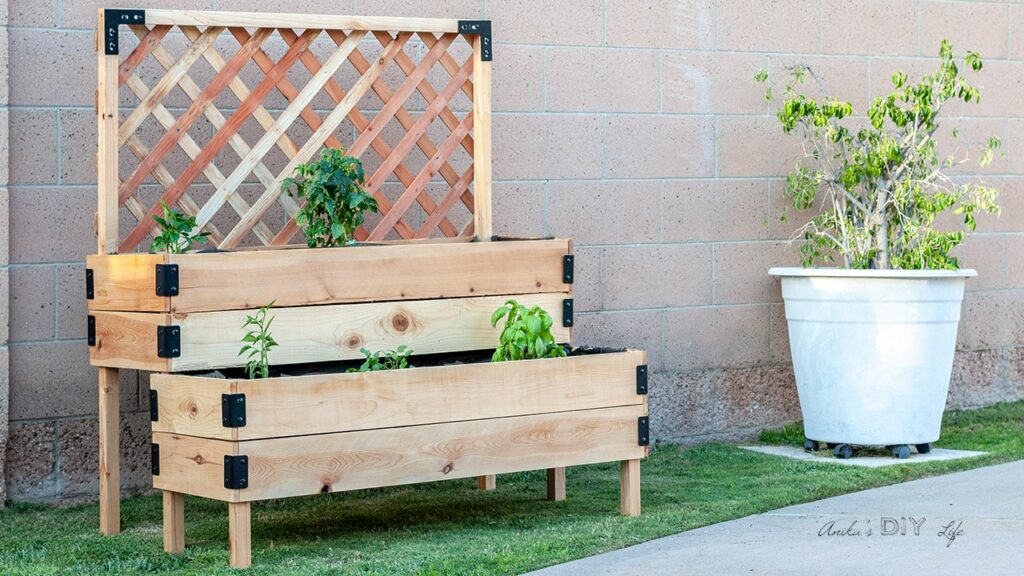 Tiered raised planter with trellis behind it.