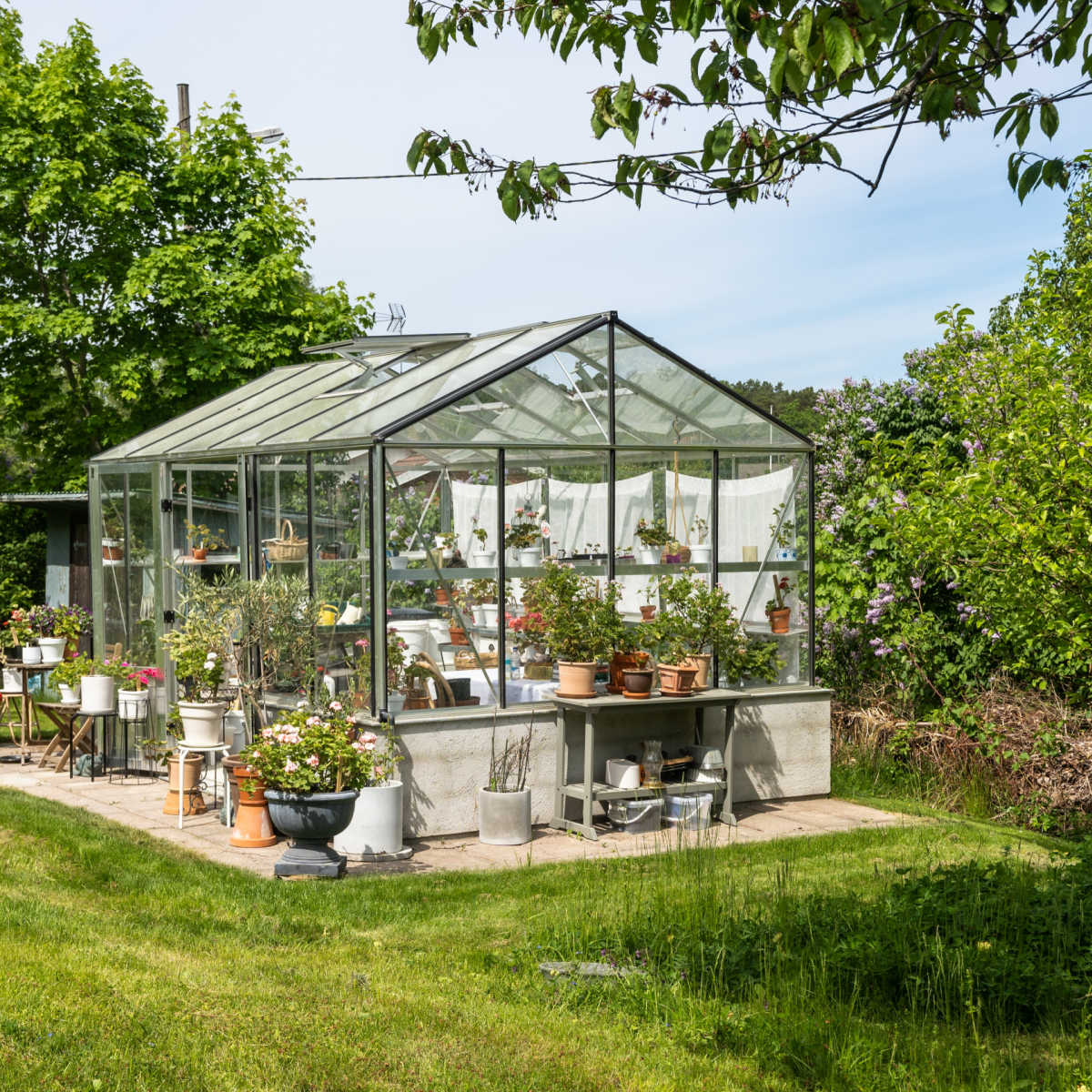 Greenhouse in garden.