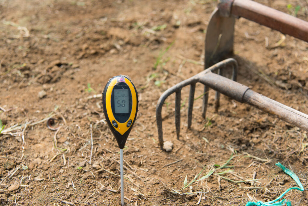 Soil pH meter in ground with 5.0 displayed on meter.
