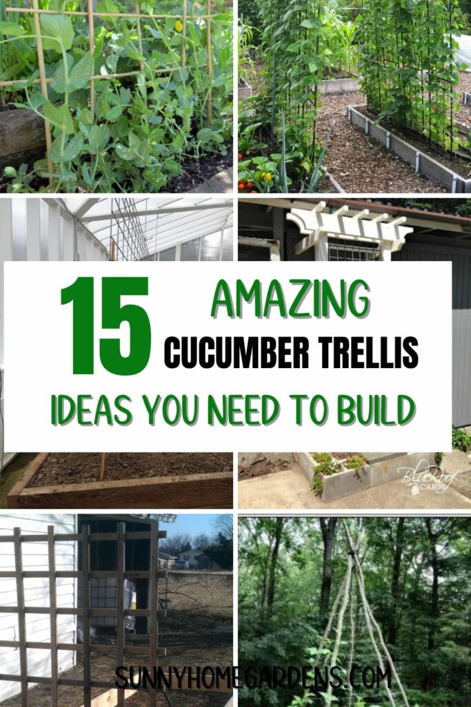 Pin image: collage of cucumber trellises and the middle says "15 Amazing cucumber trellis ideas you need to build".