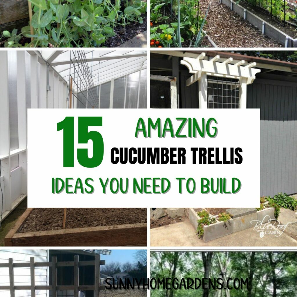 Collage of cucumber trellis and the words "15 Amazing cucumber trellis ideas you need to build.