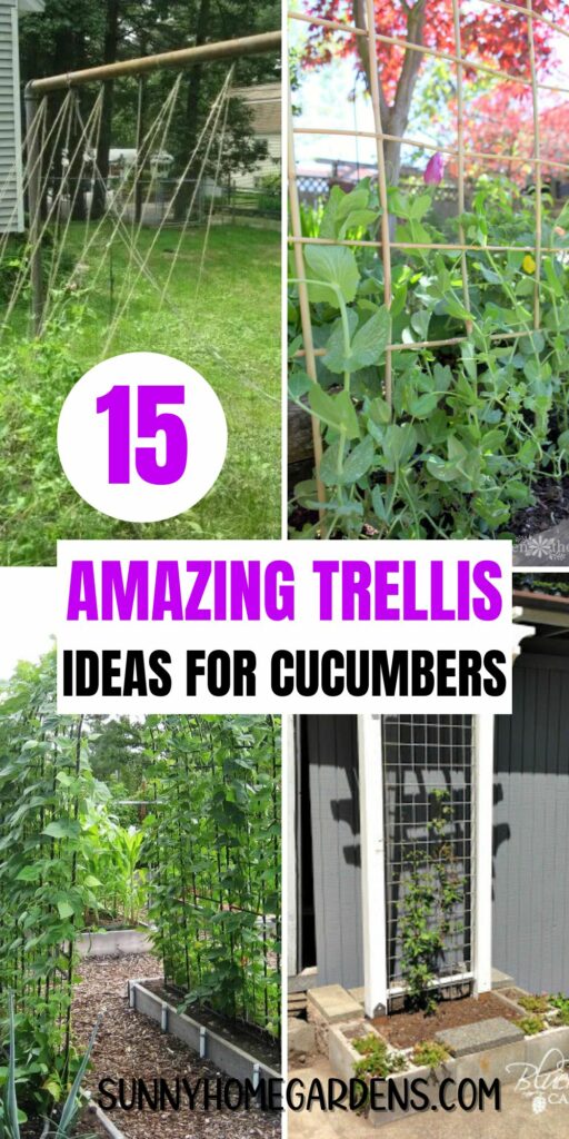Pin image: collage of cucumber trellises with the words "15 Amazing trellis ideas for cucumbers".
